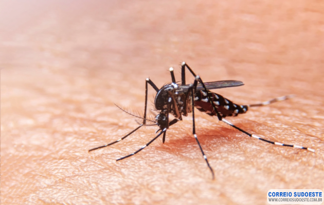 -Monte-Belo-é-a-primeira-cidade-mineira-a-registrar-óbito-por-dengue