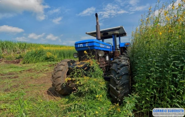 Crotalária:-risco-silencioso-que-ameaça-a-pecuária,-o-comércio-de-grãos-e-a-imagem-da-agricultura-brasileira