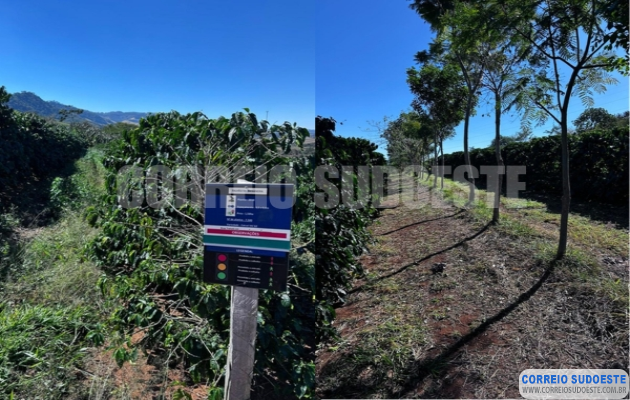 -Cooxupé-lidera-iniciativa-inédita-no-Brasil-e-viabiliza-venda-de-créditos-de-carbono-no-café