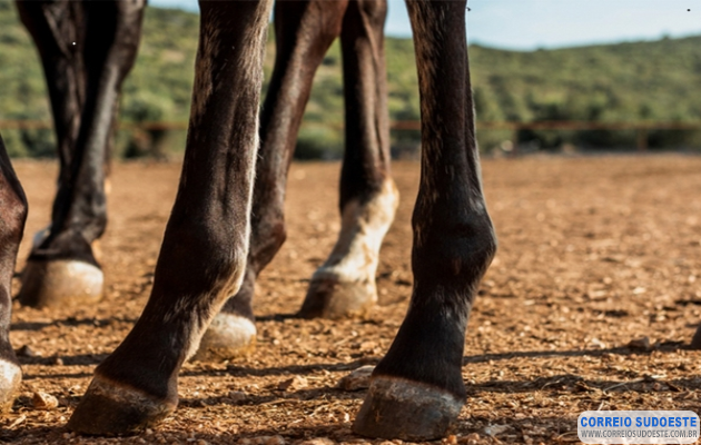 Homem-agredido-durante-cavalgada-deve-ser-indenizado