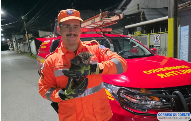 Bombeiros-usam-‘miado’-de-gato-para-salvar-filhote-em-bueiro