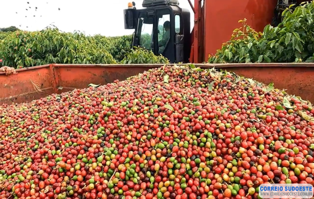 Exportações-do-agronegócio-mineiro-alcançam-US$-19,8-bilhões-em-2025-e-atingem-novo-recorde