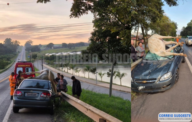 Colisão-com-cavalo-deixa-dois-feridos-em-Pimenta-