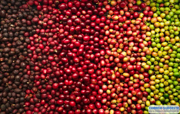 Governo-de-Minas-anuncia-criação-de-centro-de-excelência-em-cafeicultura